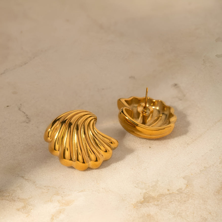 OCEAN EARNINGS